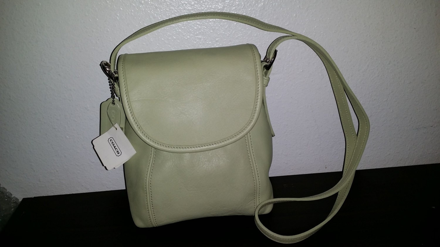 sage green mini bag