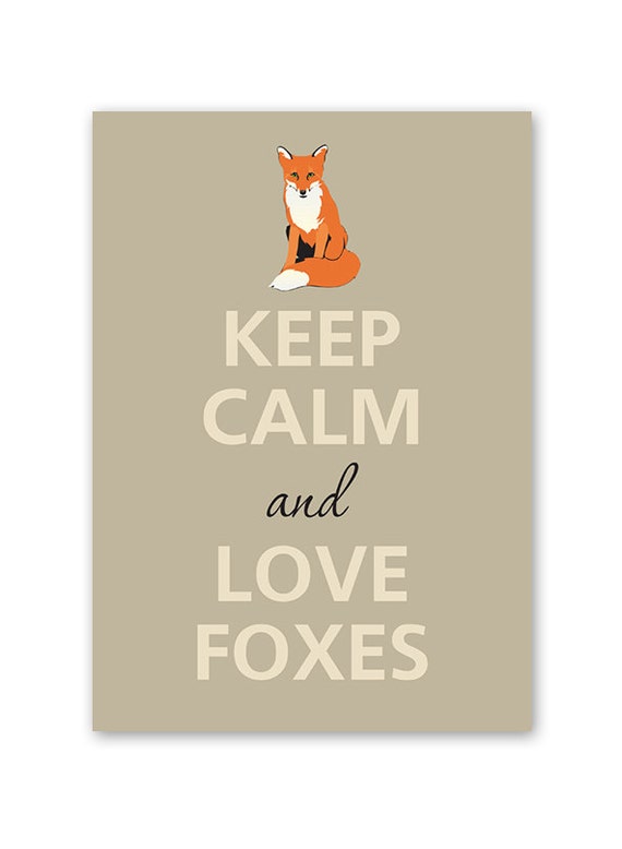 Keep calm and love foxes