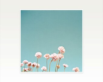 Pink Flower Photography, Clover Flowers, Minimalist Art, Summer Wall Art, Floral, Simple, Blue and Pastel Pink Decor - Clover