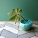 lotus pod vase