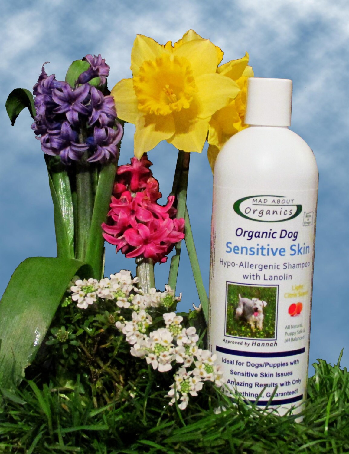 Dog Sensitive Skin Hypo Allergenic Shampoo by