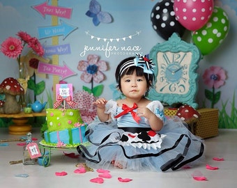 Alice in Wonderland costume 18 month