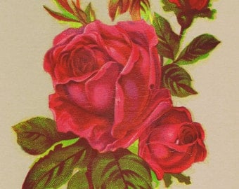 1 Red Rose Victorian Design Vintage Decals Transfer Floral Shabby Chic Furniture Restoration Upcycle