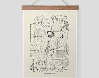 Vintage Botanical Plate 8 Pull Down Chart