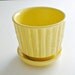 Vintage McCoy Pottery Flower Pot Bambo Yellow Planter 0372 Home and Garden Decor