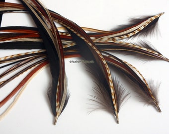 Brown Feather Hair Extension Kit Beauty Hair Kit Long Feather Extensions Natural Feathers for Hair Jewelry Hair Care Accessories for Hair