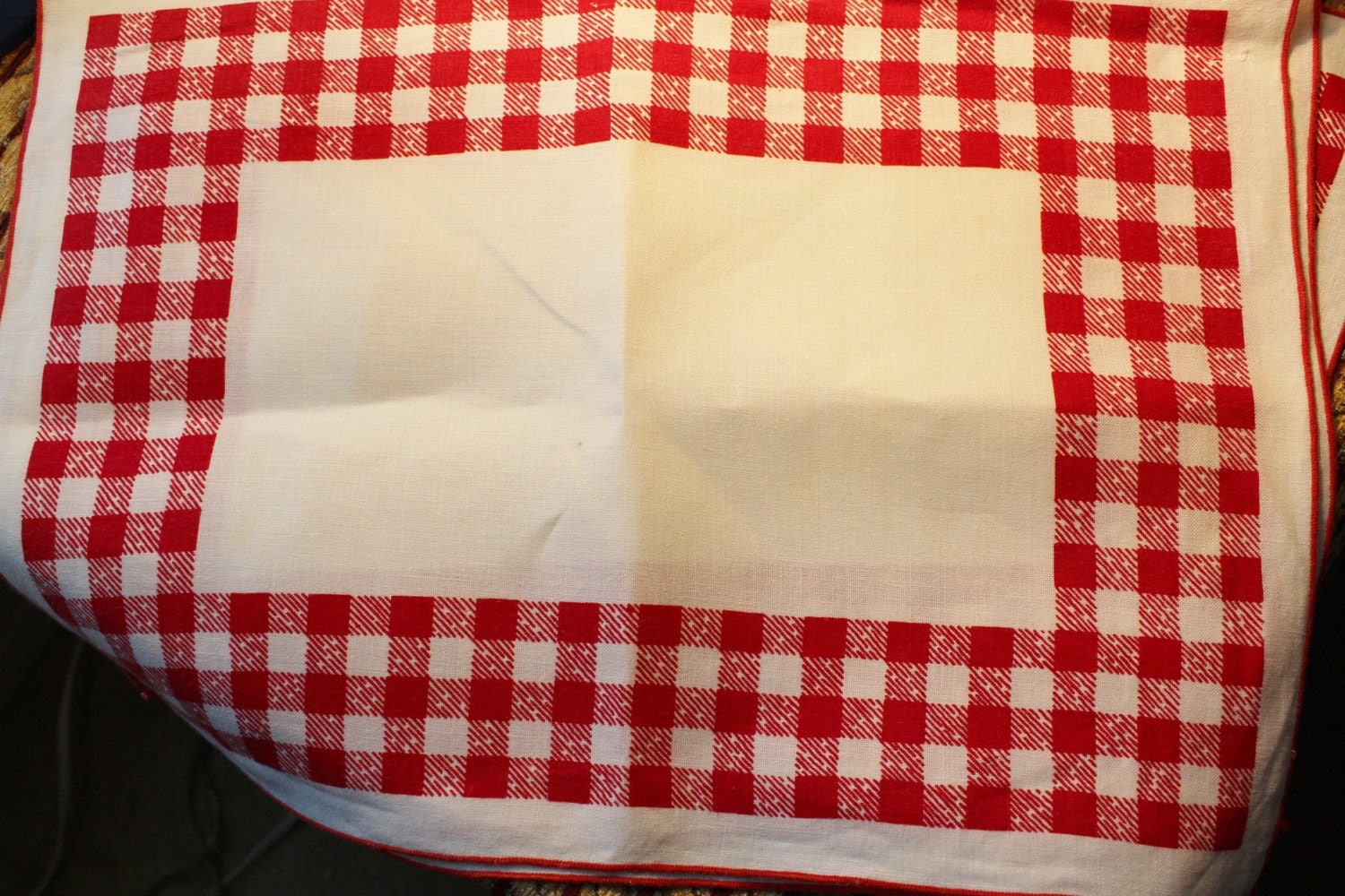 Red And White Checked Gingham Placemats 4 Vintage
