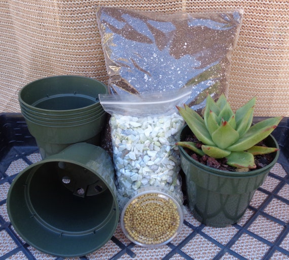 Succulent Potting Kit 6 Pack 4 Pot Size