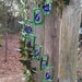 GLASS WINDCHIMES from RECYCLED Jagger bottles, eco friendly, green, garden decor, mobiles, windchimes, glass wind chimes, glass