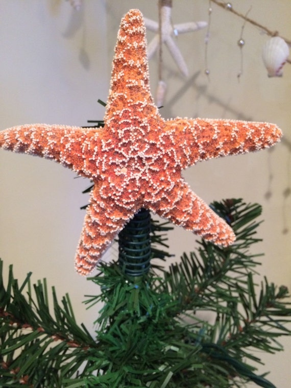 Starfish Christmas Tree Topper