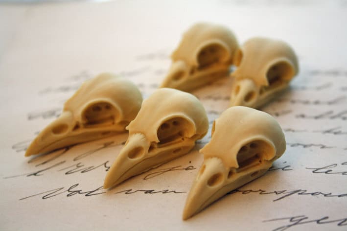 5 Bird Raven Crow Skull Cabs Resin Cabochon Taxidermy Animal Steampunk Gothic Goth Skull Ivory 35x16mm 5 PIECES