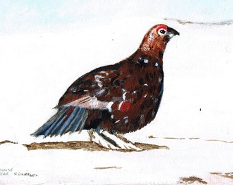 A Grouse near Grantley - Greeting card