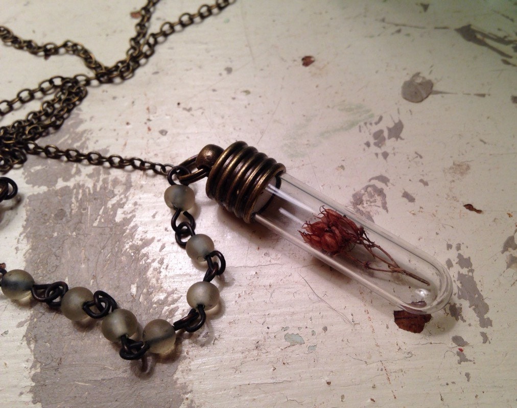 Sweet Arlyne Dried Flower in Sealed Glass Vial on by OlivePolly