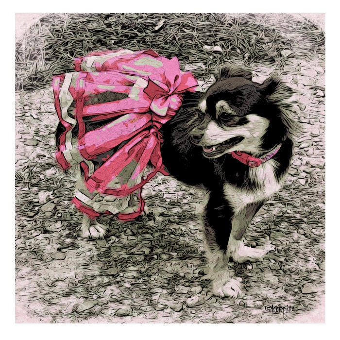 inch 10x10 frame for print 10x10 Long and in 8x8 Black Tan Chihuahua TuTu Pink Hair