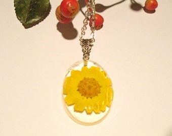 Pressed Flower Yellow Daisy Wildflower Resin Pendant Necklace