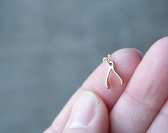 Tiny Gold Wishbone Necklace / Small Lucky Charm Wish Bone on a Gold Filled Chain ... Gift for Her Graduation, Wedding, or Everyday