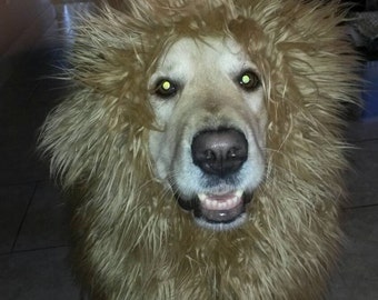 Lion Mane Dog Costume