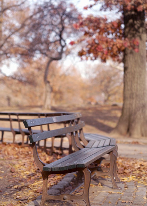 Central Park photography park benches rustic by PhotographySpa