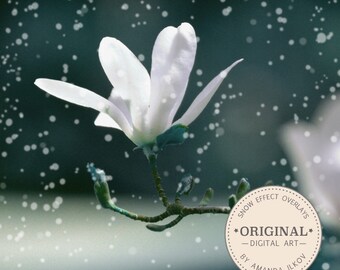 Snow Photo Overlays - Bokeh Overlays, Bokeh Photo Overlay, Snow Effect, Snow Overlay, Bokeh Frames, Bokeh Borders, Snow Borders