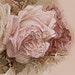 Rosebijoux