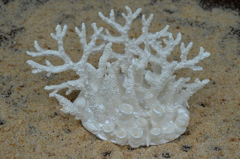 Edible+Seashells+for+Wedding+Cakes Edible coral & seashells wedding cake by BeachBabyEdibleArt