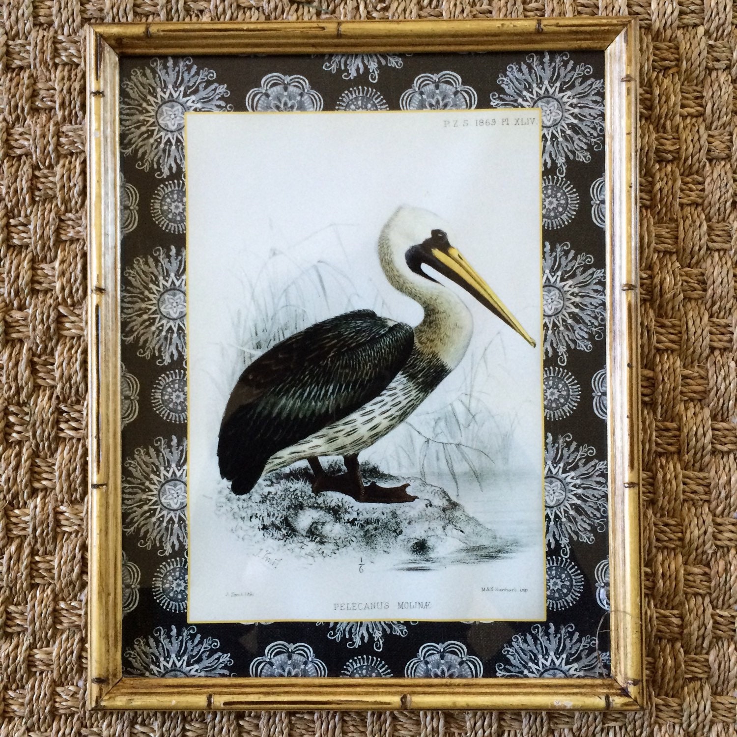 Vintage pelican art pelican print pelican framed art