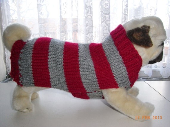 Comment Toiletter Un Yorkshire Soi Meme Video VENTE main tricot Carlin chien pull / manteau 13 chien