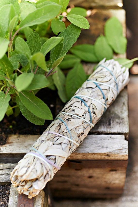 100 % Genuine Australian Sage Smudge Sticks