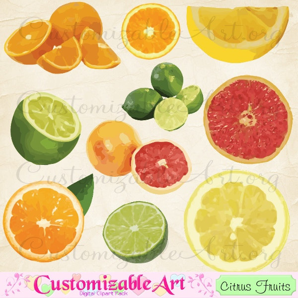 clipart citrus fruits - photo #32