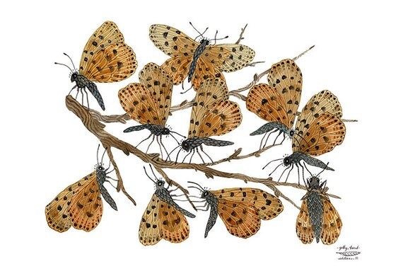 LARGE Butterfly Roost Print, butterflies illustration, giclee art print, watercolor print, wall art