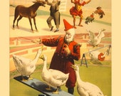antique victorian circus poster barnum bailey performing geese roosters and donkey illustration DIGITAL DOWNLOAD