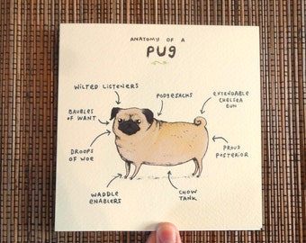Anatomy Of A Pug Card