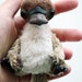 platypus afterpay sale