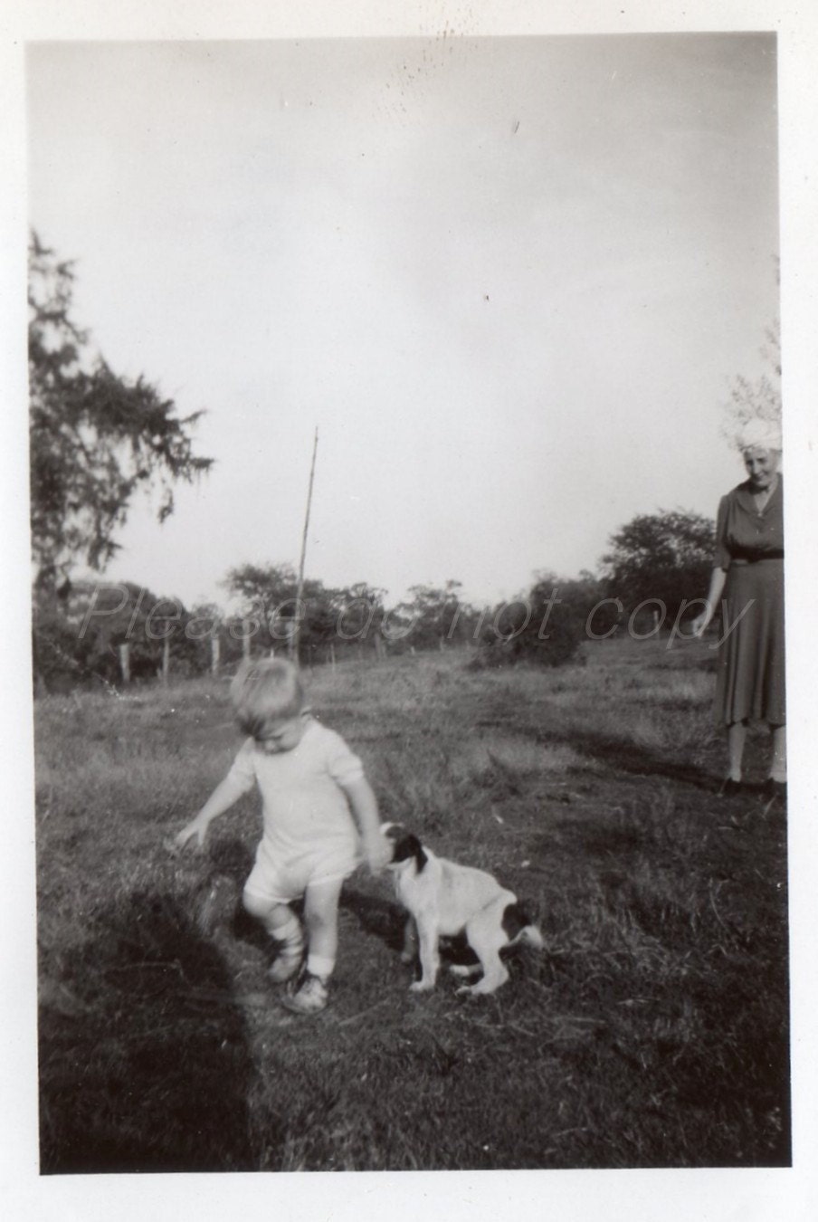 the coppertone dog Vintage Photo