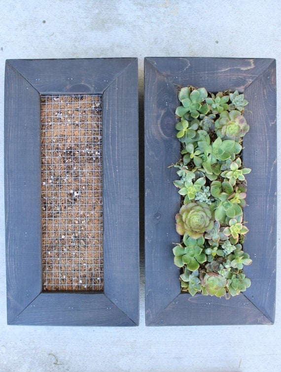 DIY Vertical Hanging Succulent Living Wall. Great by ...