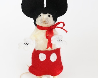 Anthropomorphic Taxidermy white mouse. Master Mouse.