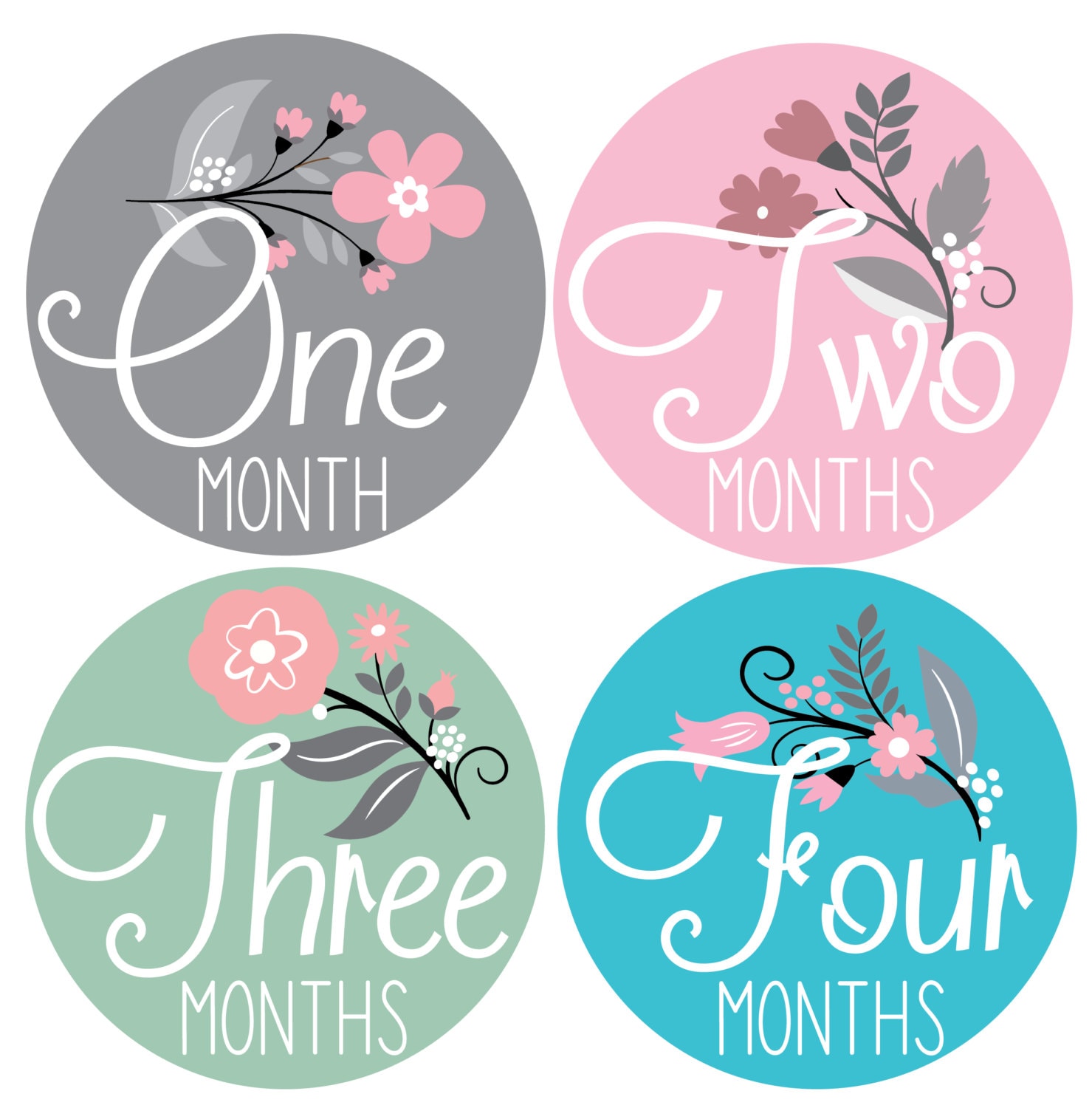 baby-month-stickers-baby-girl-gift-milestone-stickers