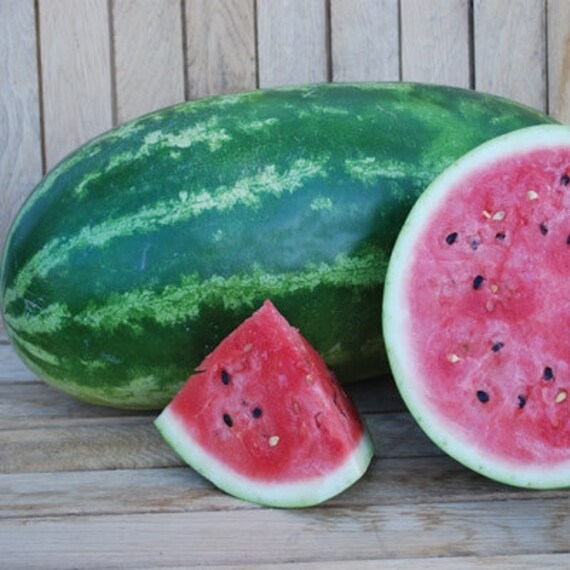 Allsweet Watermelon 30 seeds from LittleVillaSeeds