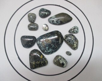 New Lander Turquoise Cabachons, 60 grams. C-008