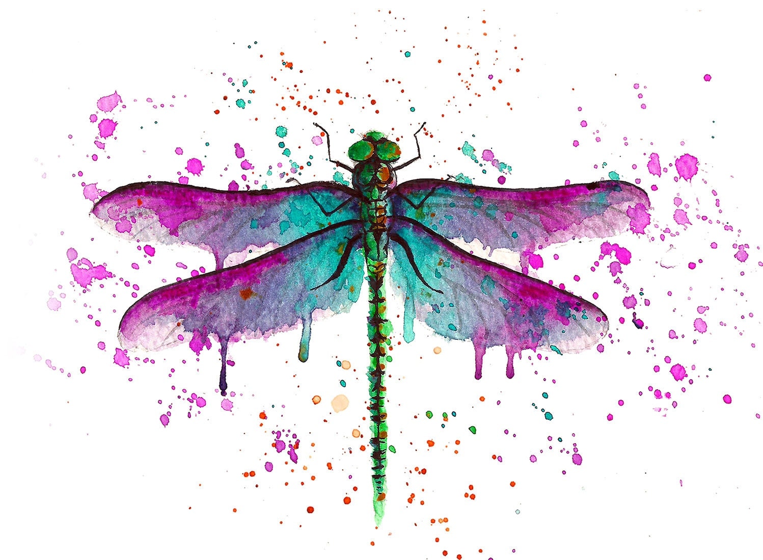 DRAGONFLY watercolour painting illustration original or print