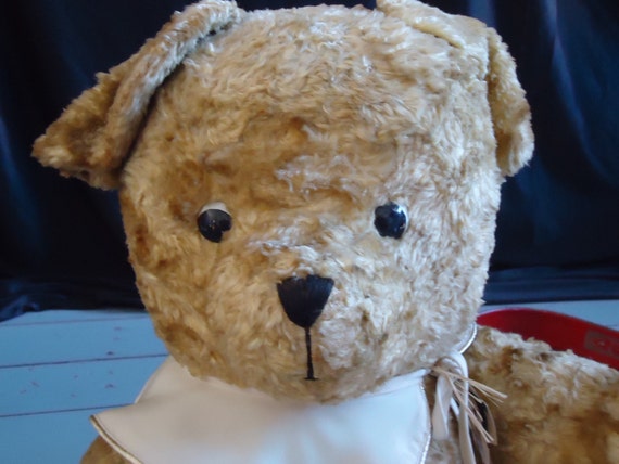 antique teddy bear collectors