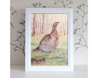 Bird illustration, bird watercolor, bird art, bird painting, watercolor painting, watercolor illustration: capercaillie in the woods