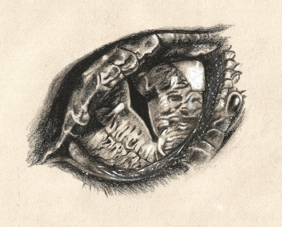 Items similar to Eye of Smaug Charcoal Drawing Poster on Etsy