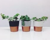 Copper dipped small cement pots / planters or candle holders for cactus, succulents or candles in black, white or grey porcelain concrete