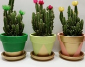 Planter Set of 3 Dark Green, Light Green, Salmon and Gold 4 Inches