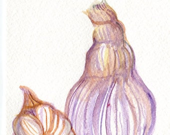 Garlic watercolor painting original, kitchen wall art, Small vegetable artwork. 5 x 7, garlic art, watercolor painting of garlic