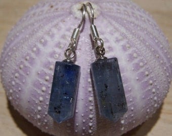 Kyanite crystal point briolette, sterling silver earwire, earrings