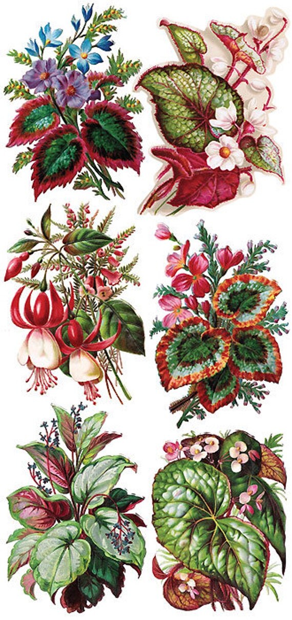 Self Adhesive Foliage & Flowers Stickers 1 Sheet Colorful