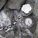 Time in Paris Gunmetal Bobby Pins