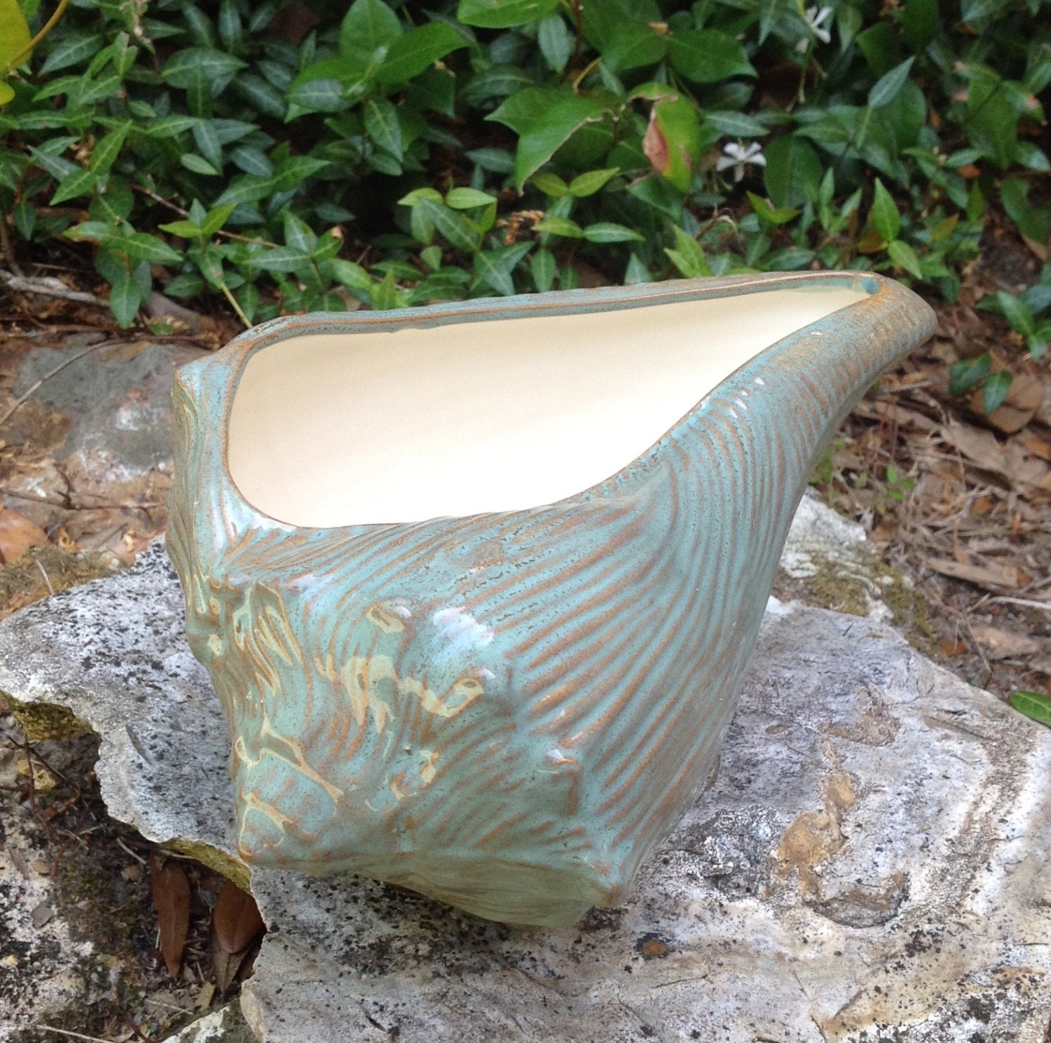 plantershell green sea foam green garden plant beach